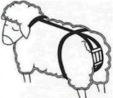 Vorfallbandage für Schafe einfache Ausführung