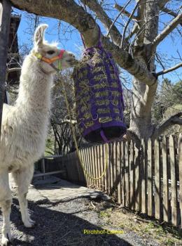 Preview: Heugittersack rund