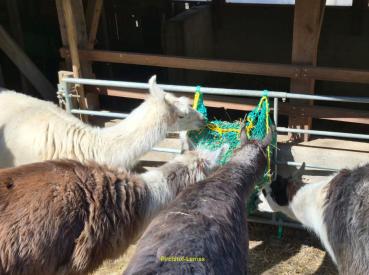 Preview: Heunetztasche für Stall, Weide oder unterwegs