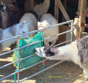Heunetztasche für Stall, Weide oder unterwegs