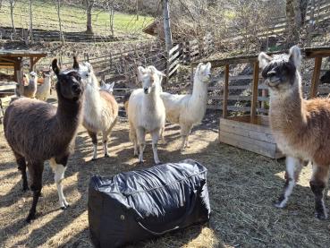 Preview: Tagbarer Heusack mit Fressgitter 112 cm