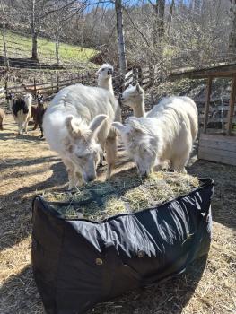 Tagbarer Heusack mit Fressgitter 112 cm