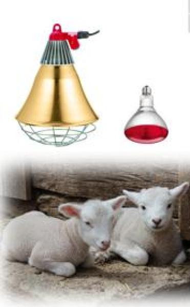 Wärmestrahlgerät mit Sparlampe
